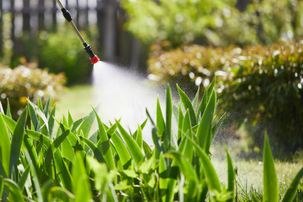 24/7 Emergency Ant Control experts in Fairplay, GA